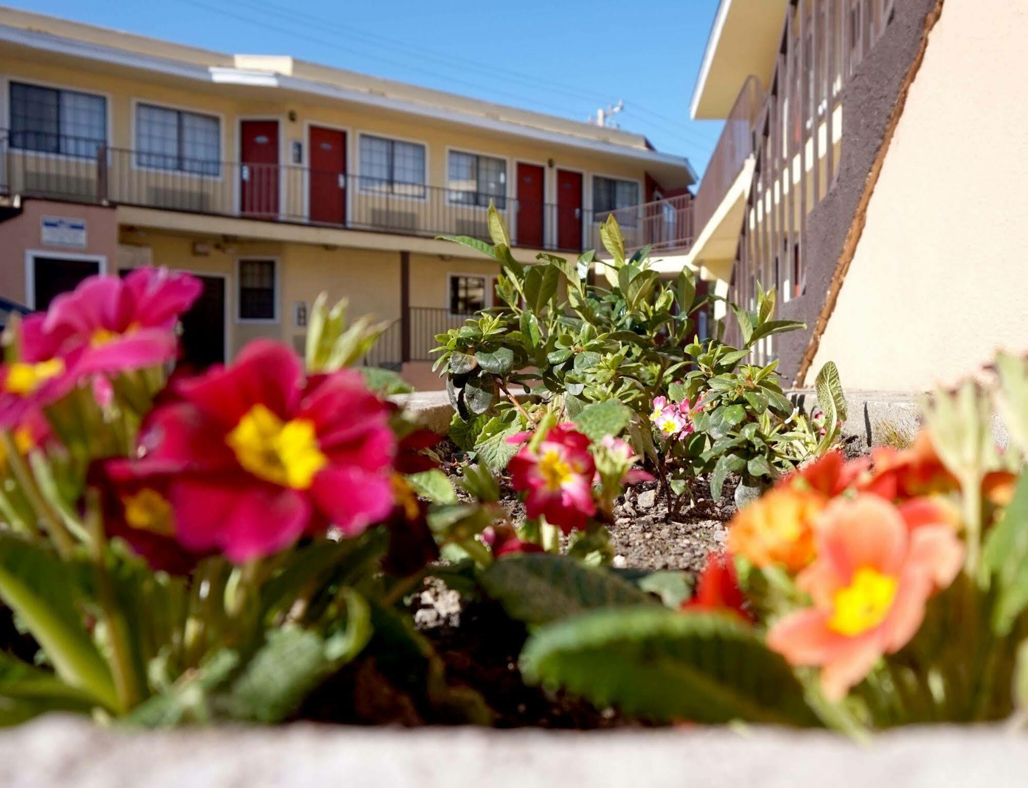 Piedmont Place Motel Oakland Esterno foto
