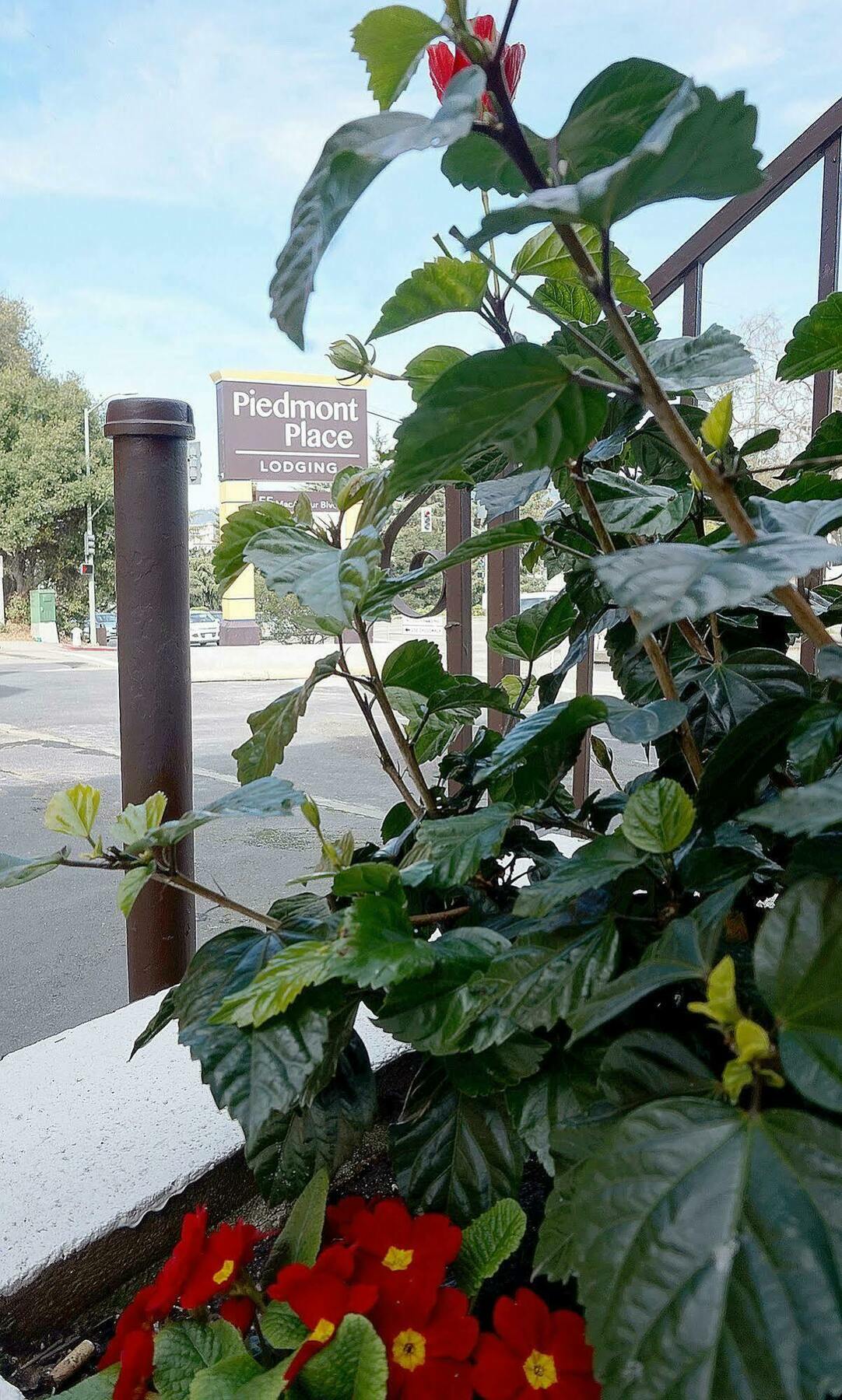 Piedmont Place Motel Oakland Esterno foto